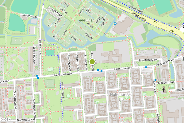 Ambulance-melding op Palestrinalaan, Zwolle op 20 juni, kaart-overzicht